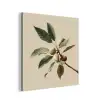 Tak - Groene Bladeren - Vruchten aluminium wit klein -3d