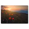 Bloemenveld - Gras - Bloemen - Planten - Zonsondergang - Oranje Placemat vinyl groot -zzsfeer1_Kitchenyeah-website