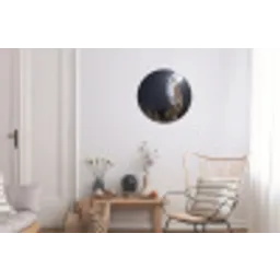 Kerkuil - Maan - Nacht Wandcirkel aluminium klein -woonkamer