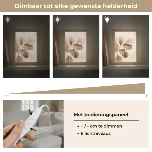 Gedroogde plant - Natuur - Bruin - Planten Light Box met kabel (Tafellamp) klein -USP_dimbaarNL