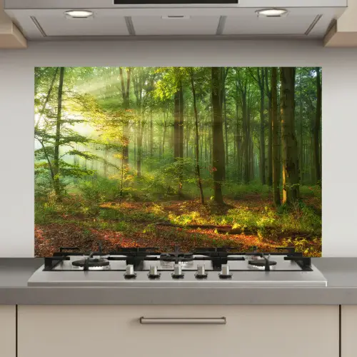 Zon - Bos - Bomen - Natuur - Herfst keuken achterwand spatscherm klein -3d_website