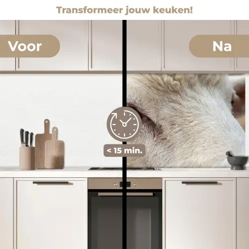 Schaap - Oog - Wit keuken achterwand 2 middel -voor-na2_NL