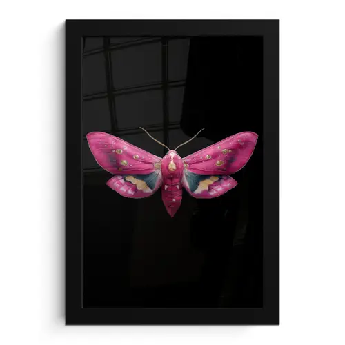 Vlinder - Roze - Nachtvlinder fotolijst zwart zonder passe partout klein -3d