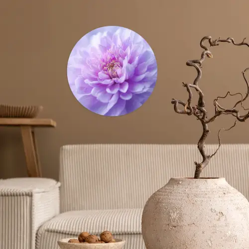 Paars - Dahlia - Dromerig Wandcirkel behangsticker klein -sfeer1
