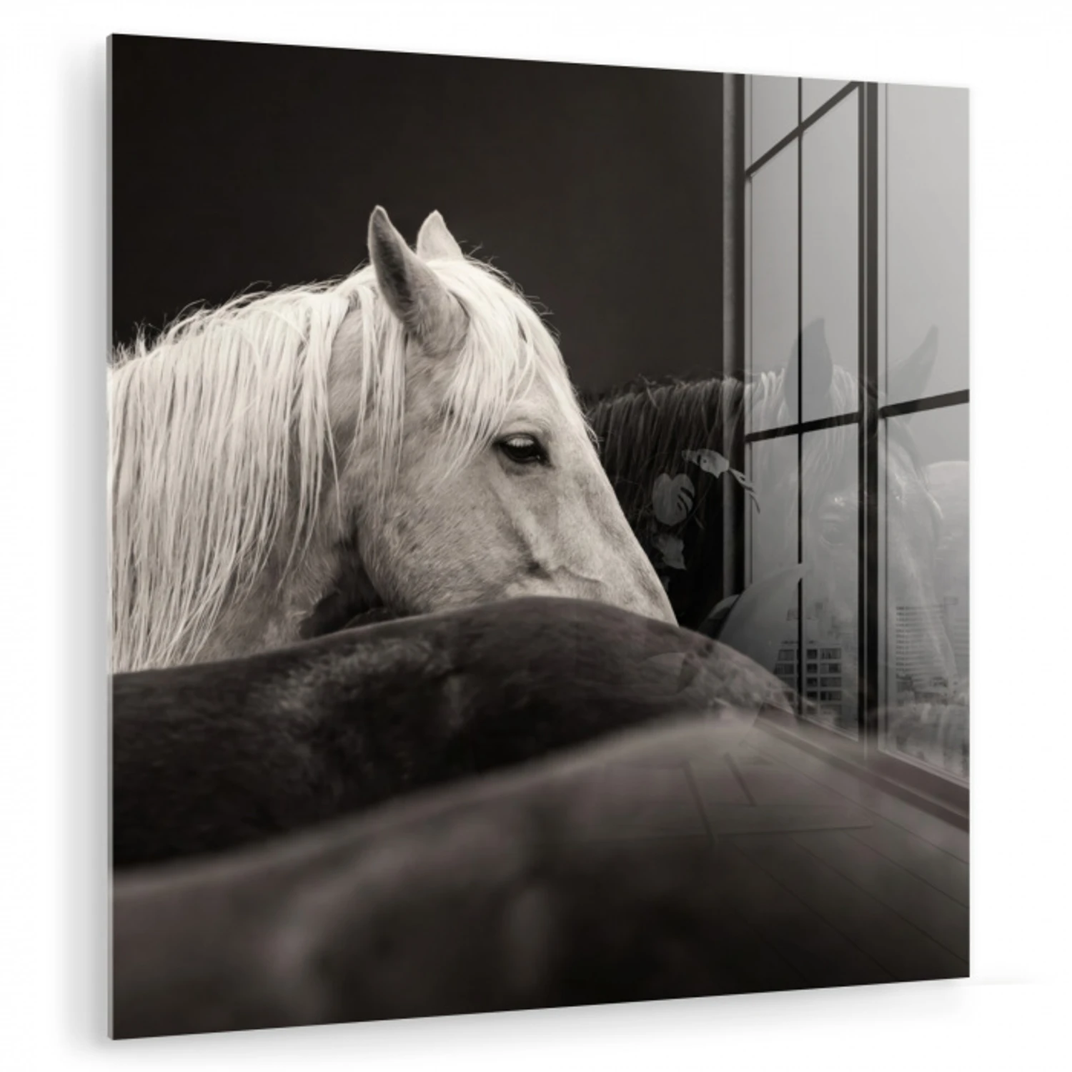 Paarden - Zwart - Wit - Kudde plexiglas 5mm klein -zzzproduct_nieuw