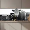 Koeien - Zwart - Wit keuken achterwand 2 middel zz_3dshopping