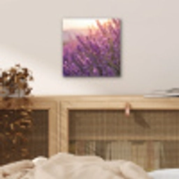 Lavendel - Paars - Zonlicht aluminium wit klein -sfeer3
