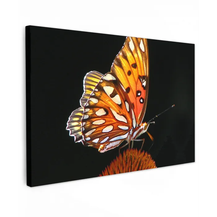 Vlinder op bloem Tuinposter op houten frame 2 cm dik klein -3d