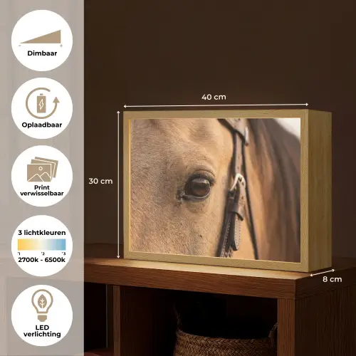Paard - Oog - Bruin Light Box met batterij (Wandlamp) middel -USP_websiteoverzichtNL