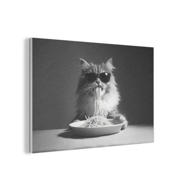 Akoestisch schilderij - Langharige kat - Zonnebril - Spaghetti - Humor - Zwart - wit
