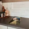 Meisje met de Parel - Schilderij van Johannes Vermeer Inductie beschermer vinyl 3mm middel -sfeer3