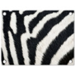 Zebra - Vacht - Klassiek - Zwart - Wit tuinposter los doek klein -3d