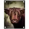 Majestueuze Hooglander in het Donker tuinposter los doek klein -3d
