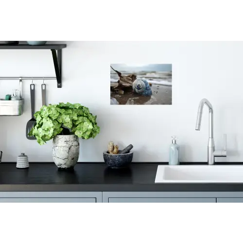 Schelp - Strand - Blauw - Zee Muursticker klein -keuken