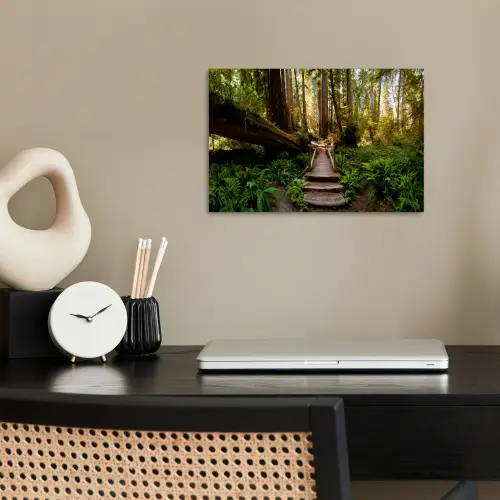 Jungle - Natuur - Trap - Bomen poster papier klein -sfeer1