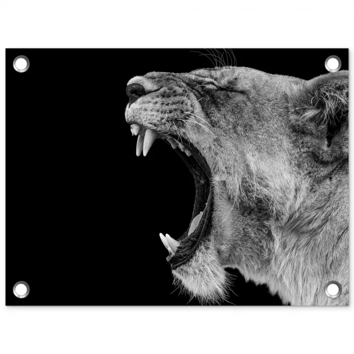 Dieren - Leeuw - Zwart - Wit - Portret tuinposter los doek klein -3d