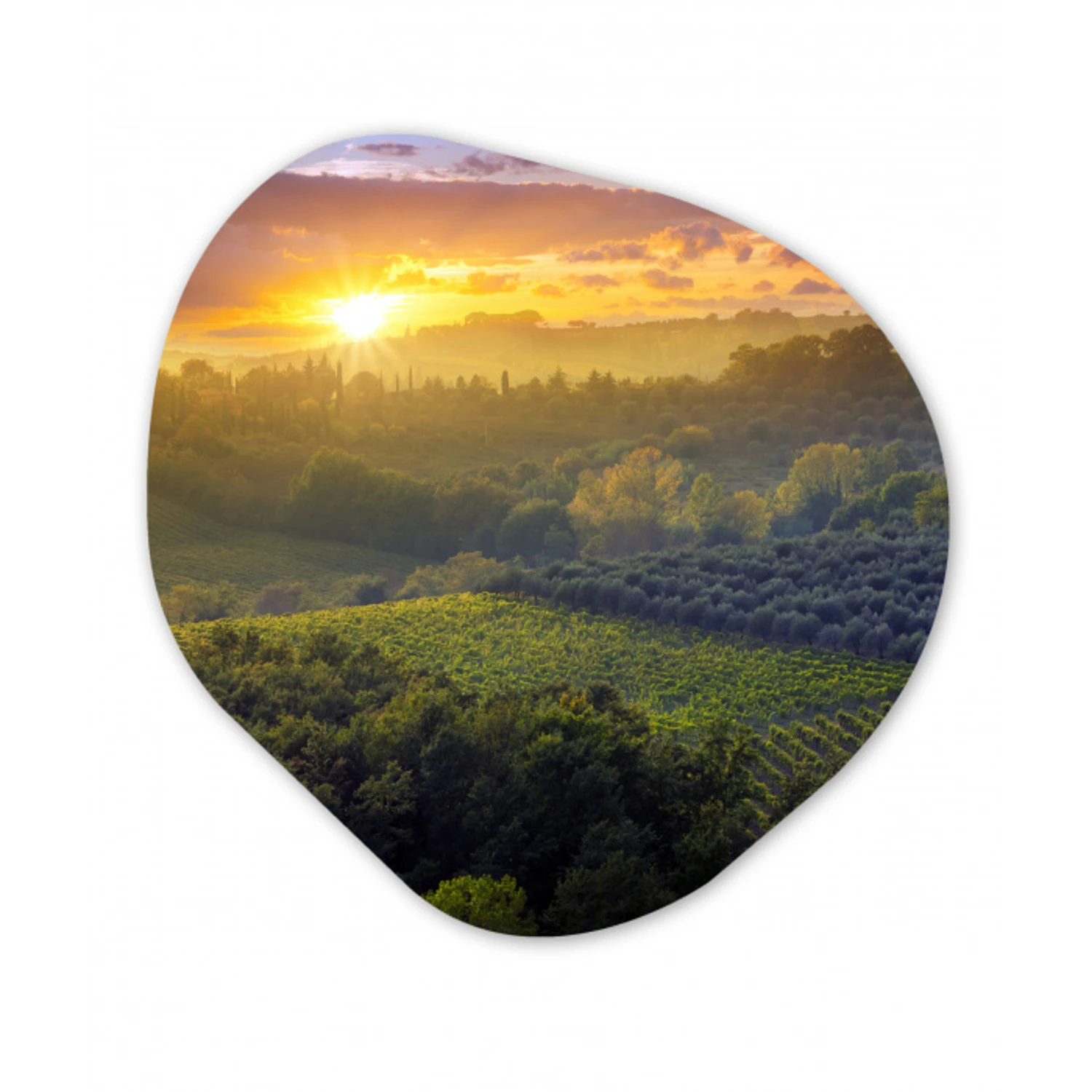 Toscane - Landschap - Zon Wandcirkel Organisch Forex 3mm klein -3d