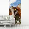 Koeien - Dieren - Weiland - Natuur fotobehang vinyl groot -woonkamer
