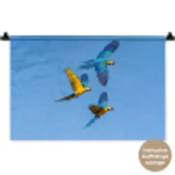 Papagaai - Vliegen - Blauw - Geel Wandkleed katoen klein -t3d_DE