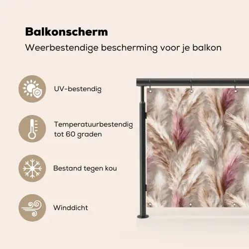 Pampasgras - Pluizig - Kleurrijk Balkonbeschermer Duitsland klein 596 -specs_NL