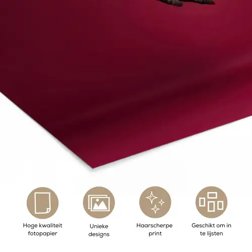 Hengst - Steigert - Rood poster papier klein -closeup_NL