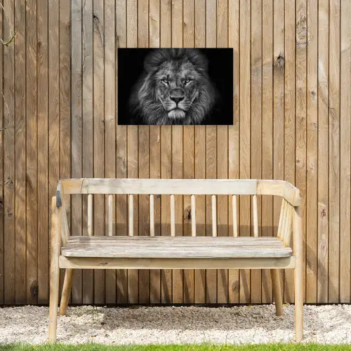 Zwart-wit portret van een leeuw Tuinposter op houten frame 2 cm dik klein -sfeer4