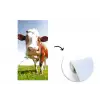 Koe - Dieren - Bloemen - Gras fotobehang vinyl groot -3d