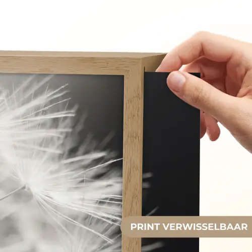 Paardenbloem - Zwart - Wit Light Box met batterij (Wandlamp) middel -USP_websiteprintNL