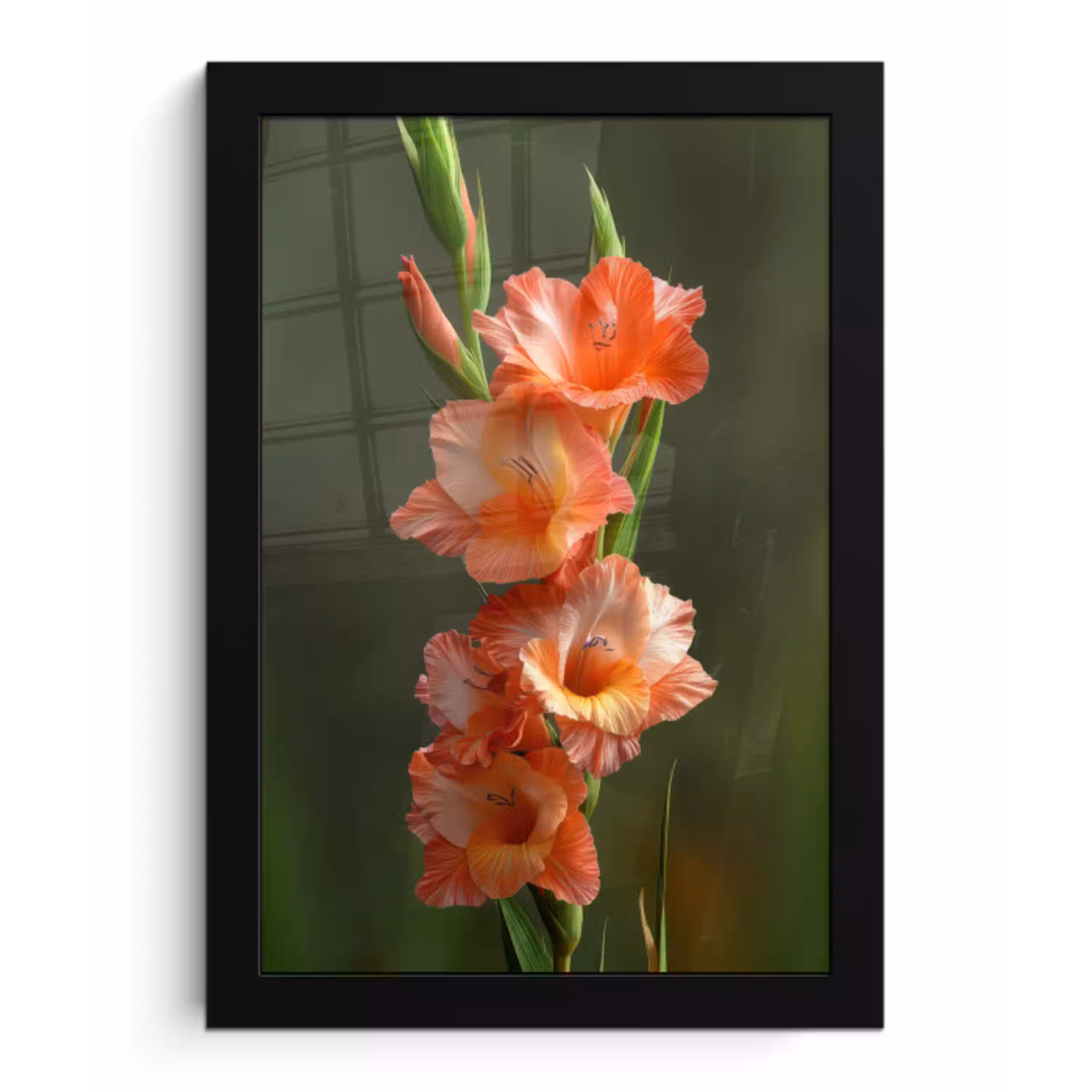 Bloem - Gladiolen - Zalmroze fotolijst zwart zonder passe partout klein -3d