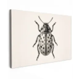 Kever - Insect - Vintage canvas 2cm klein -z3d