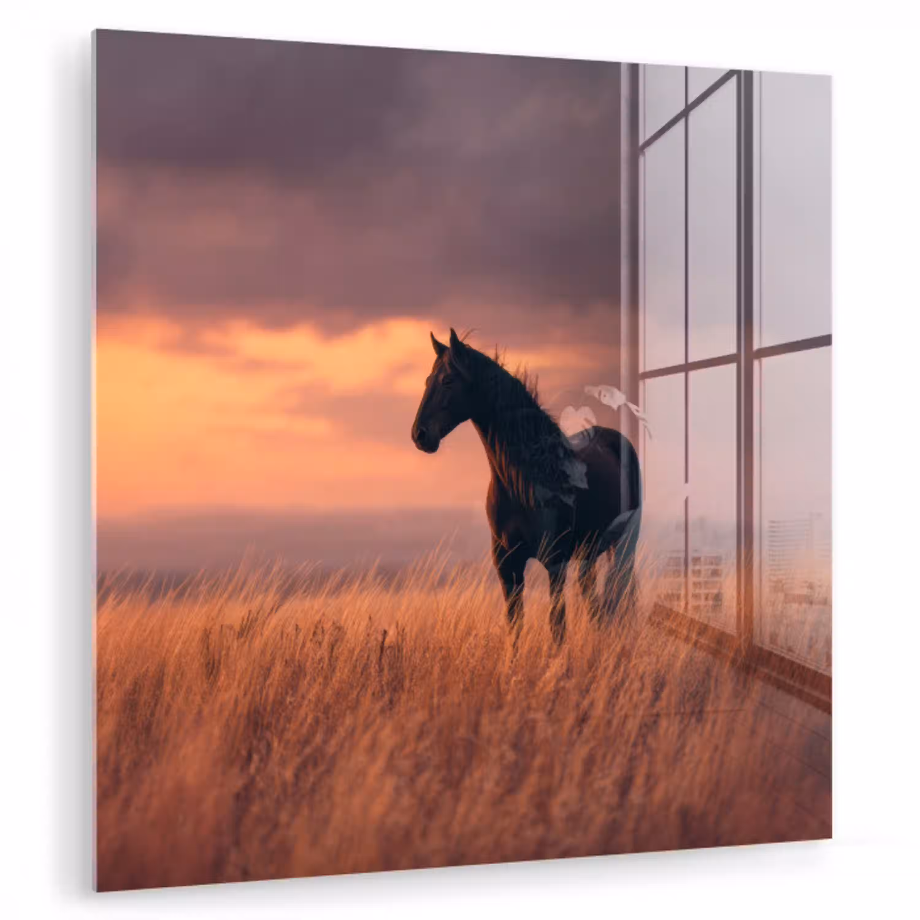 Paard - Wolken - Open veld plexiglas 5mm klein -zzzproduct_nieuw