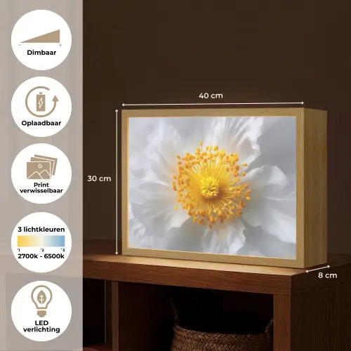 Wit - Bloem - Elegant Light Box met batterij (Wandlamp) middel -USP_websiteoverzichtNL