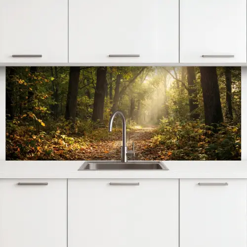 Zonlicht - Bospad - Bomen keuken achterwand 2 middel -3d