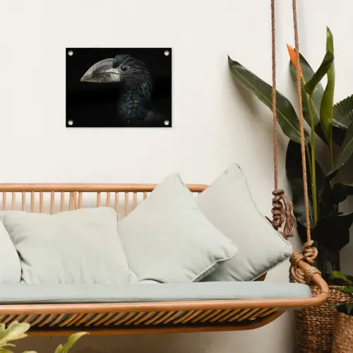 Vogel - Portret - Neushoornvogel - Zwart - Dieren tuinposter los doek klein -sfeer7