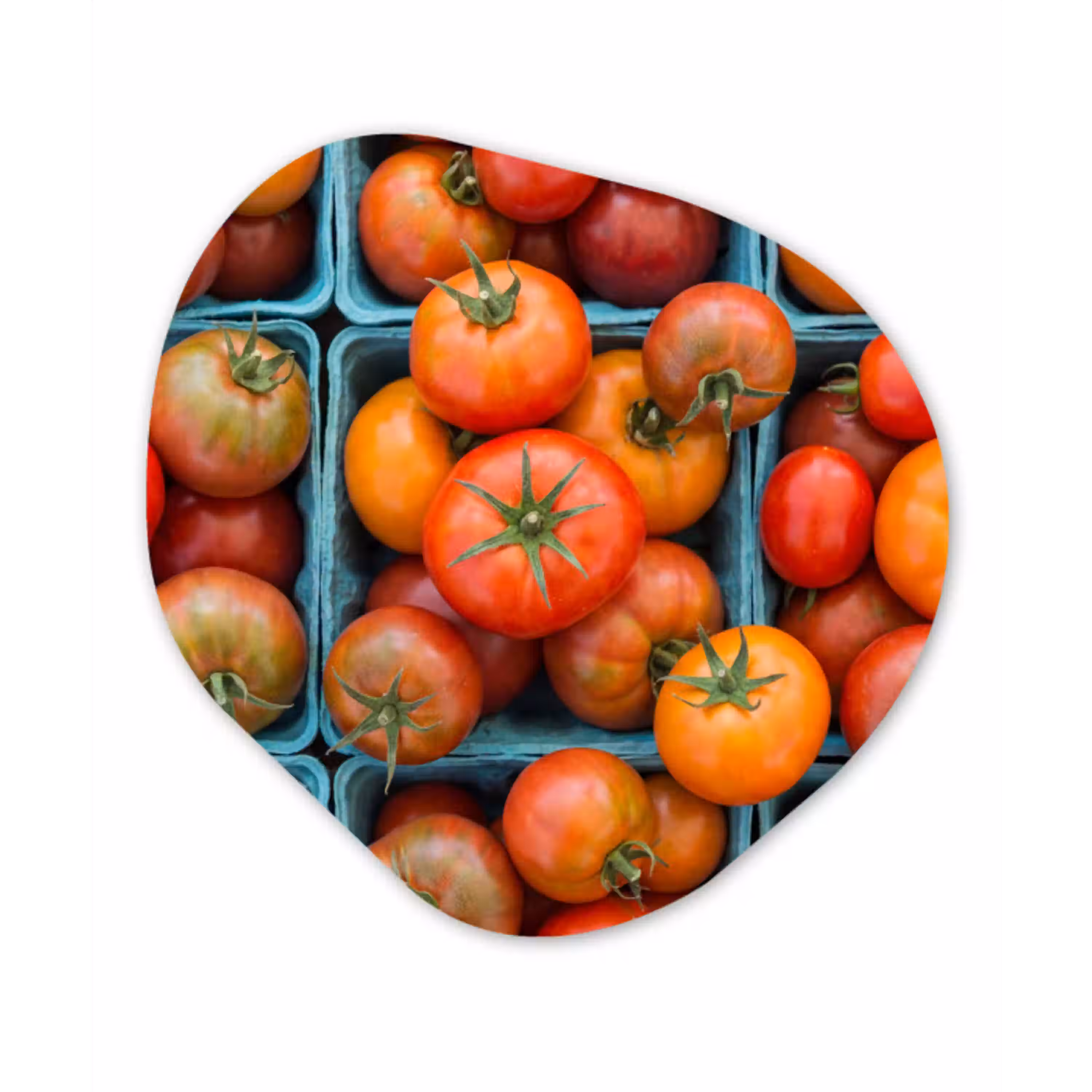 Tomaten - Eten - Kleurrijk Wandcirkel Organisch Plexiglas middel -3d