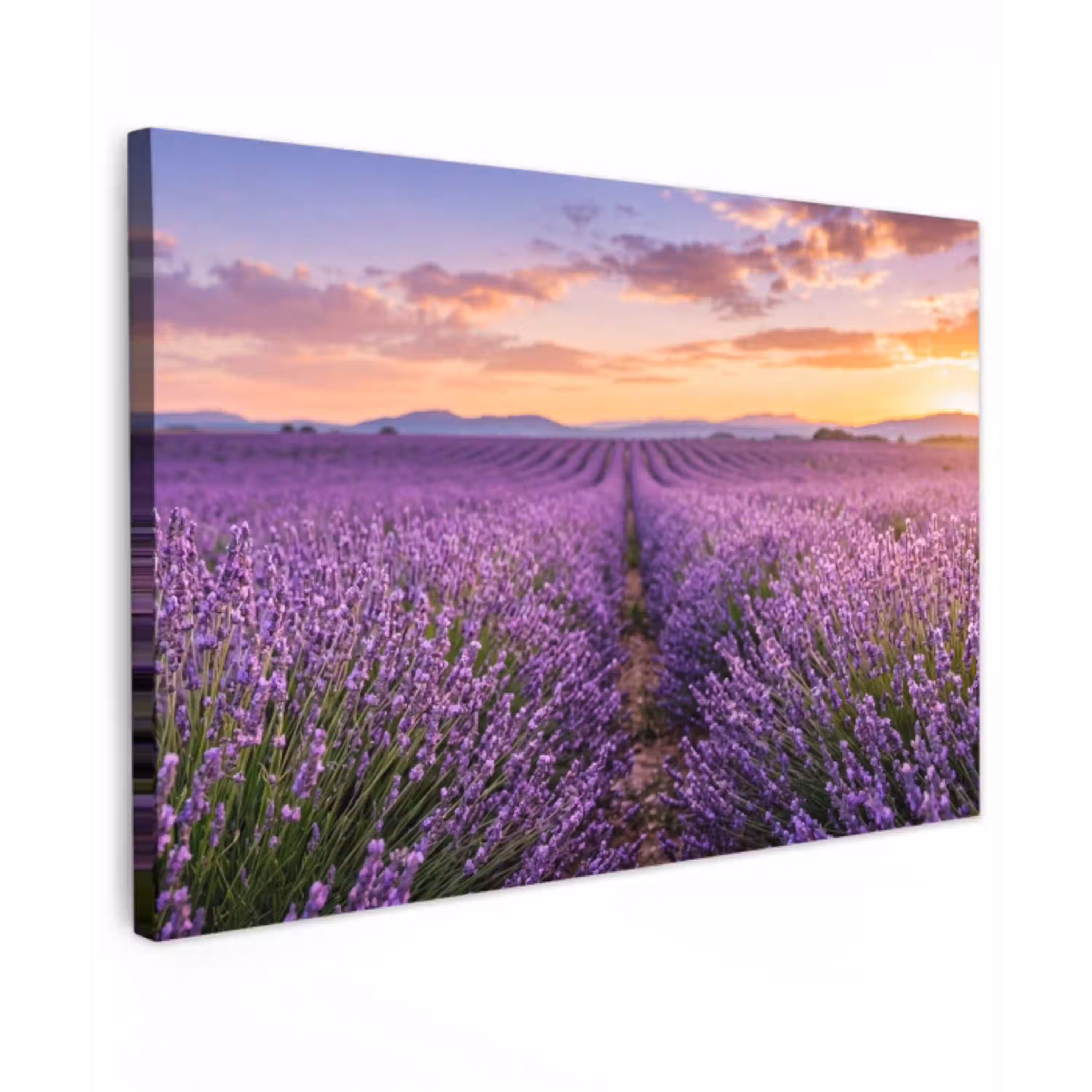 Lavendel - Veld - Natuur - Paars Tuinposter op houten frame 2 cm dik klein -3d