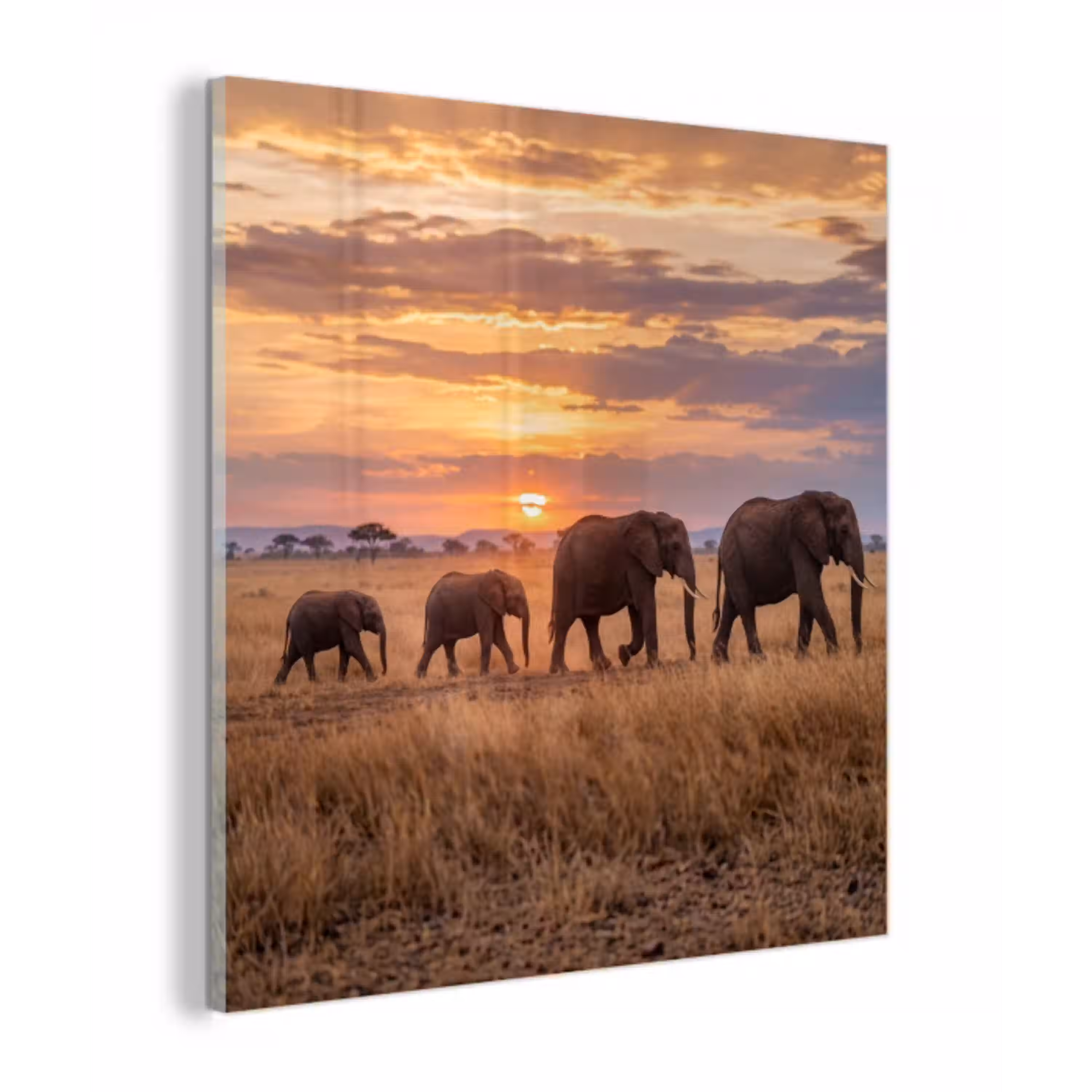 Olifanten - Savanne - Zonsondergang - Afrika - Warm plexiglas 5mm klein -z3d