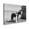Vrouw - Paard - Artistiek Tuinposter op houten frame 2 cm dik klein -3d