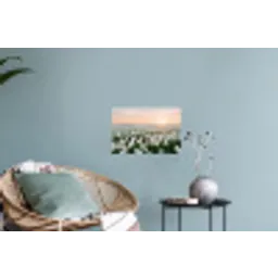 Tulpen - Landschap - Wit Muursticker klein -plant
