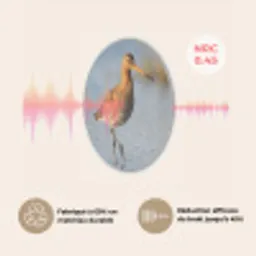 Vogel - Steltloper - Water - Natuur Akoestische PET Vilt - Rond klein -USP_FR