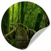 Jungle - Brug - Mos - Natuur - Tropisch Wandcirkel behangsticker klein -3d