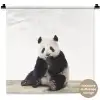 Panda -  Dieren - Kinderen - Jongens - Meisjes - Pandabeer Wandkleed katoen klein -t3d_DE