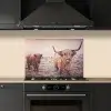 Schotse Hooglanders - Sneeuw - Zon keuken achterwand spatscherm klein -sfeer1