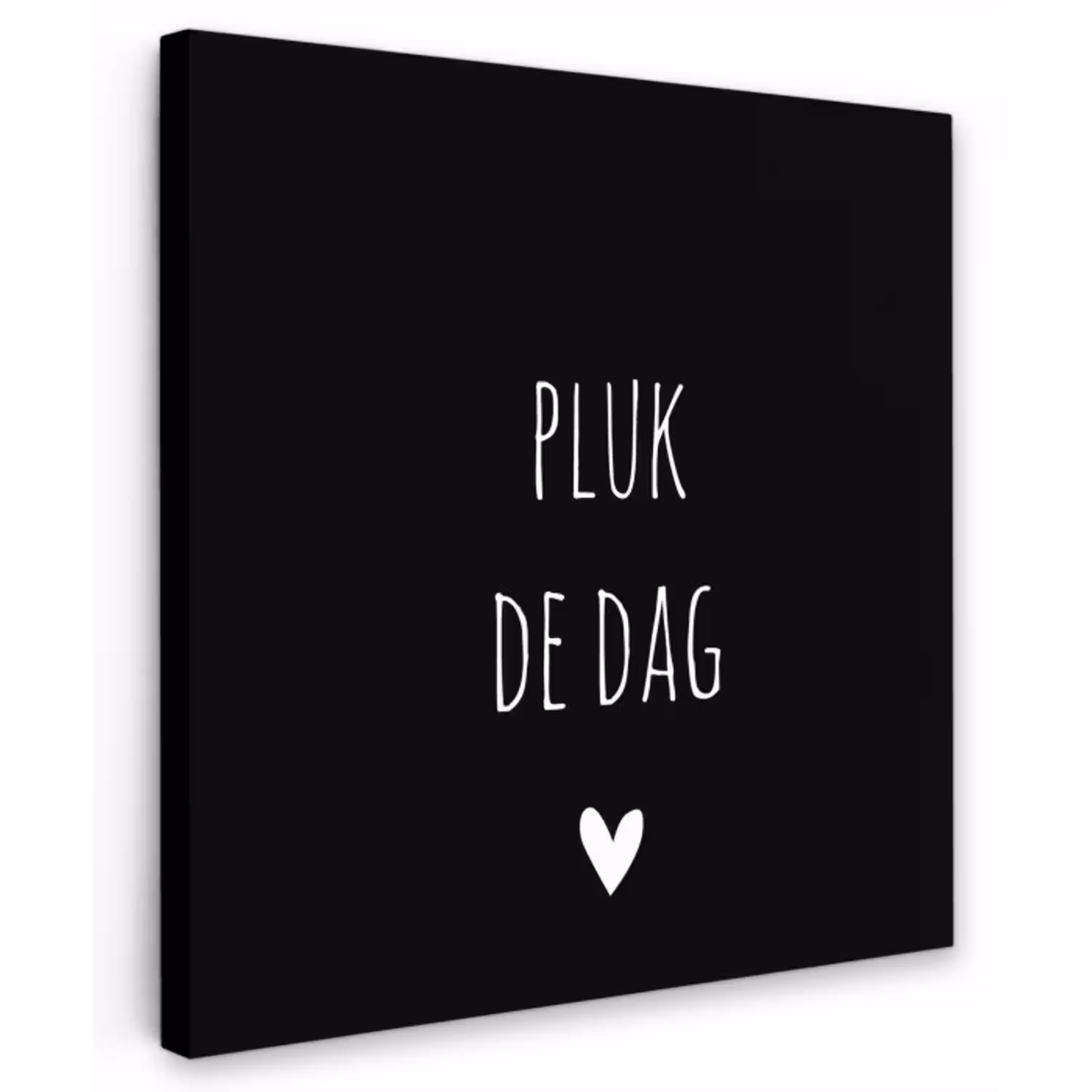 Carpe diem - Spreuken - Pluk de dag - Quotes Tuinposter op houten frame 2 cm dik klein -3d