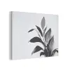 Plant - Bladeren - Minimalistisch - Zwart PET vilt klein -3d