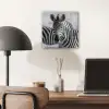 Zebra's - Zwart - Wit plexiglas 5mm klein -sfeer6