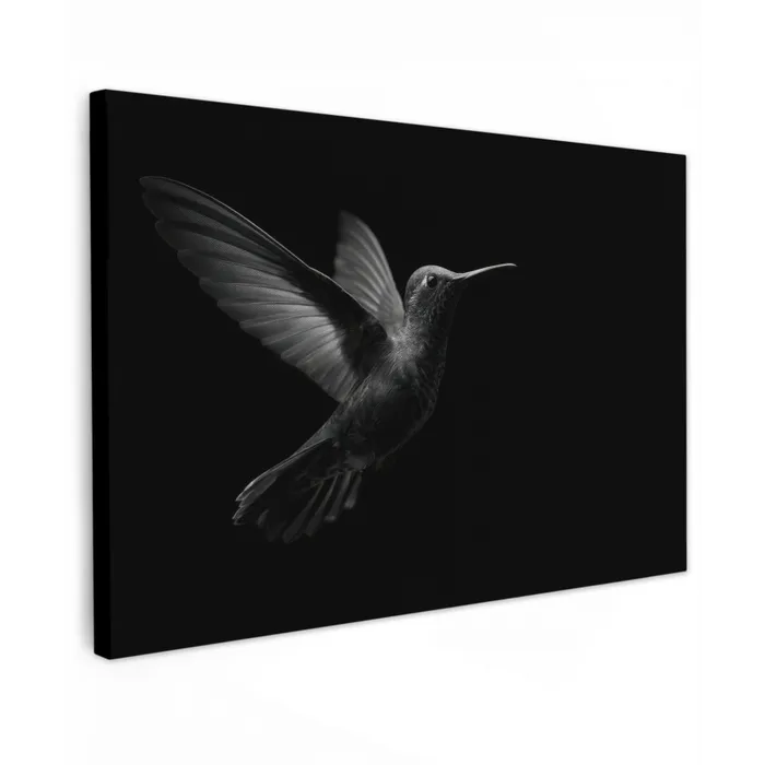 Kolibrie - Zwart - Dieren canvas 2cm klein -z3d