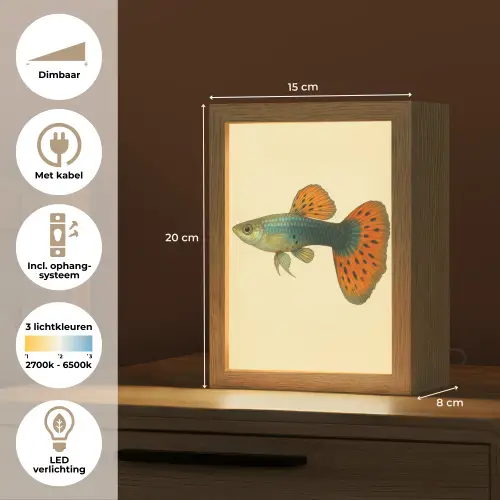 Vis - illustratie - Stippen - Oranje Light Box met kabel (Tafellamp) klein -USP_NL