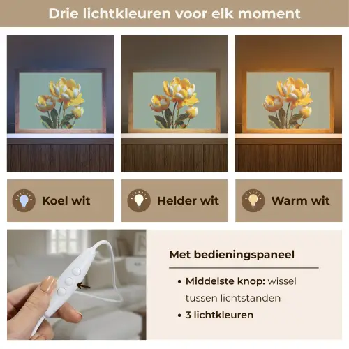 Bloemen - Geel - Bladeren - Structuur Light Box met kabel (Tafellamp) klein -USP_lichtkleurNL