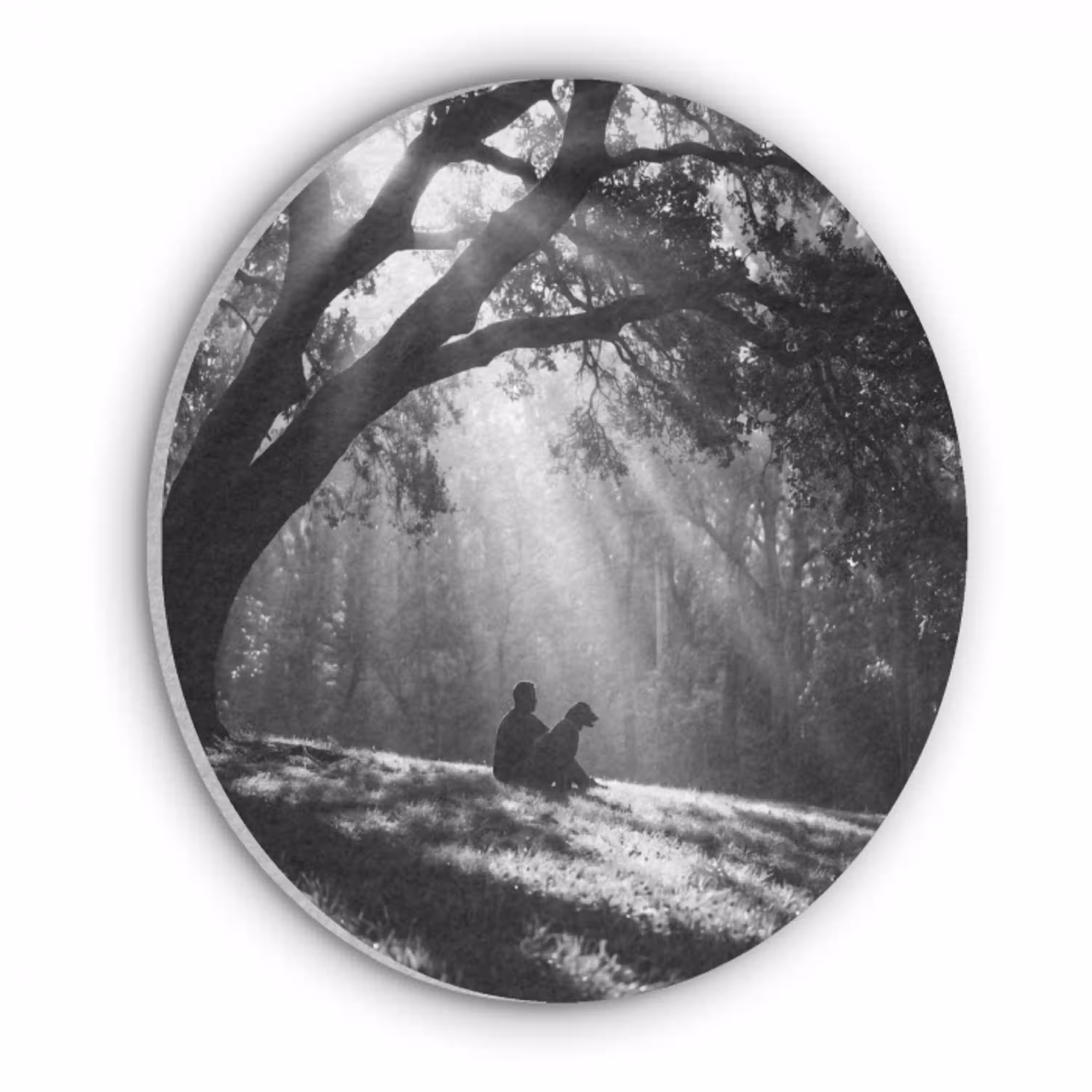 Mens - Hond - Natuur - Zwart-wit - Silhouet Akoestische PET Vilt - Rond klein -3d